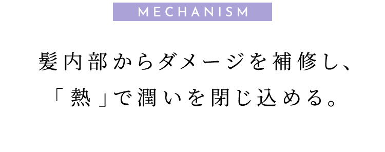 髪内部からダメージを補修し、「熱」で潤いを閉じ込める
